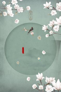 蘑菇传媒在线